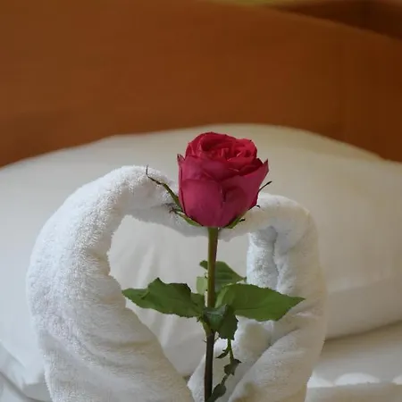 Bed & Breakfast Lupus